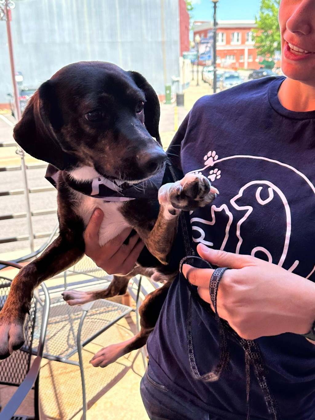 Pints & Paws Returns to Beer Hound&nbsp;Brewery